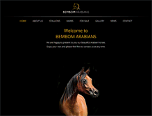 Tablet Screenshot of bembomarabians.com